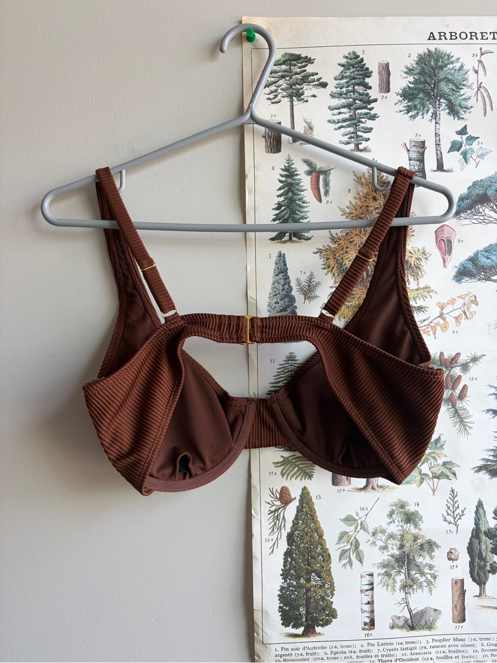 Cabana de sol bathing suit top medium brown - Picture 2 of 3